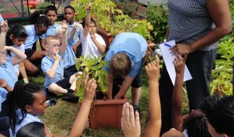 Seeds to success sown by Barking and Dagenham Catering Services