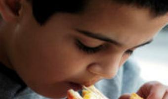 Westminster Food & Nutrition Forum to address next steps for obesity policy
