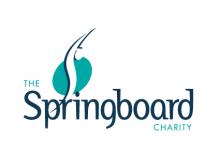Springboard charity auction ends Friday