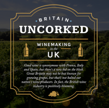 Sykes Cottages infographic details flourishing British wine industry