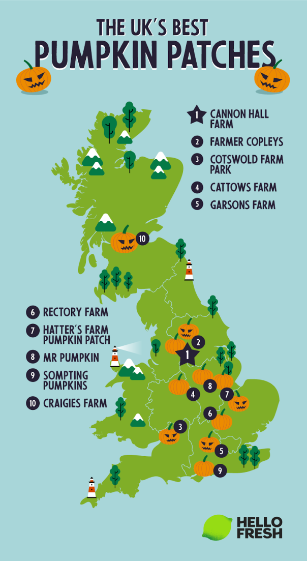 UK’s best pumpkin patches for 2024