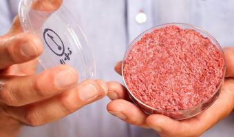 meat petri dish clean meat new science lab beef agriculture 