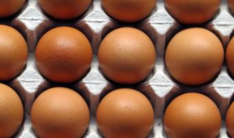 Egg prices are expected to rise ‘sooner rather than later’ in response to a jump in the cost of feed for chickens.