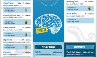 I’m A Celeb diet: sheep’s brain as nutritious as a Big Mac