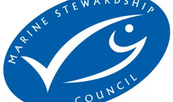 Foodservice provider Brakes celebrates 15 year relationship with the Marine Stewardship Council (MSC)