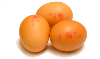 Survey finds confusion around serving imported eggs to vulnerable groups 