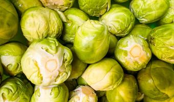 Research unveils top ten Brussels Sprout hating places in UK 