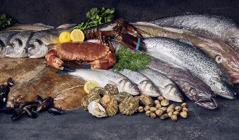 Wholesaler kff launches new range of fresh fish 