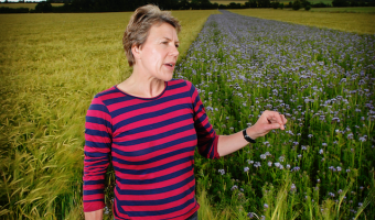 sustainable farming plan soil association helen browning