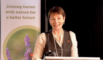 MP Caroline Lucas calls for new statutory Food Resilience Committee