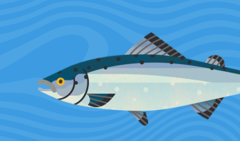 Marine Conservation Society updates Good Fish Guide for caterers