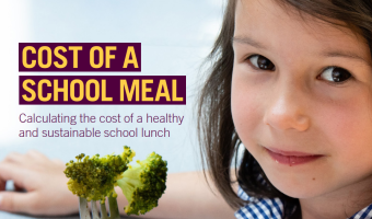 Experts urge Government to invest in underfunded school meals