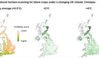 Scientists predict what will be ‘top of the crops’ by 2080 due to climate change 