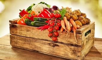 Recipe for Change urges Government to build healthier food industry  