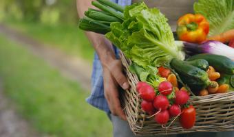 Government opens £15m food surplus fund for redistribution charities 