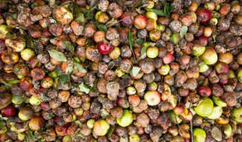 New data reveals most food waste conscious region of UK