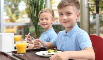 Universal Primary Free School Meals 