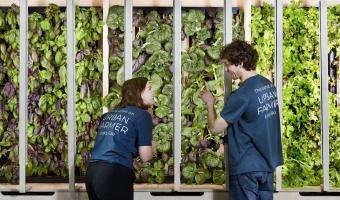 Compass introduces urban farm to its headquarters  
