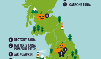 New research reveals UK’s best pumpkin patches for 2024 