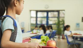 primary, school, meals