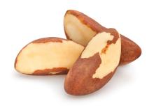 Start-up Truly Nuts creates ‘first flavoured and fully sustainable Brazil Nut’