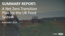 IGD releases Net Zero Transition Plan for UK Food System report 