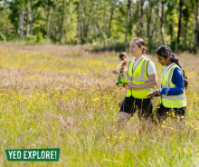 Yeo Valley Organic welcomes school pupils to Somerset farm 