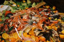 UK restaurants urged to follow French example on food waste