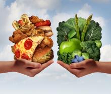 Junk vs healthy food 
