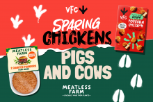  Vegan food company VFC acquires Meatless Farm  