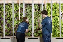 Compass introduces urban farm to its headquarters  