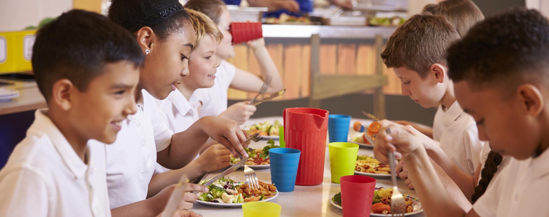 APPG launches 2024/25 Excellence in School Food Awards