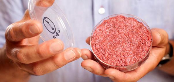 meat petri dish clean meat new science lab beef agriculture 