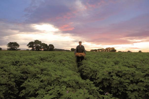 McCain Foods encourages customers to Meet the Farmers