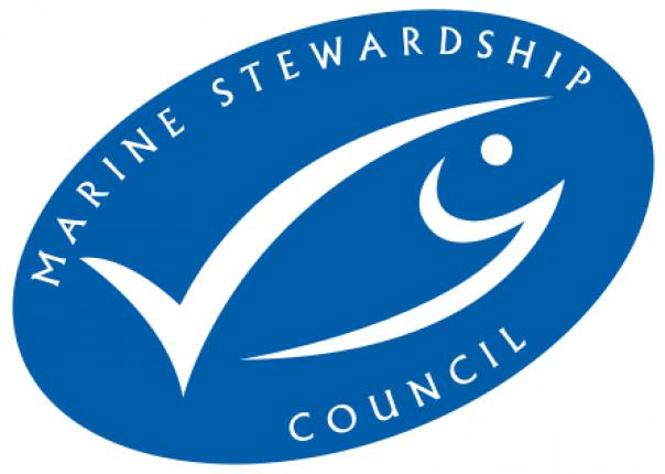 Foodservice provider Brakes celebrates 15 year relationship with the Marine Stewardship Council (MSC)