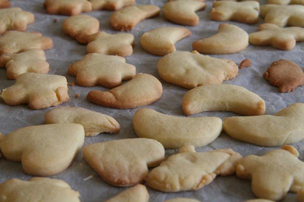 national biscuit day care homes