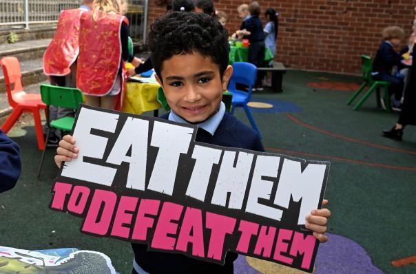 School catering teams confirm success of Eat Them to Defeat Them campaign