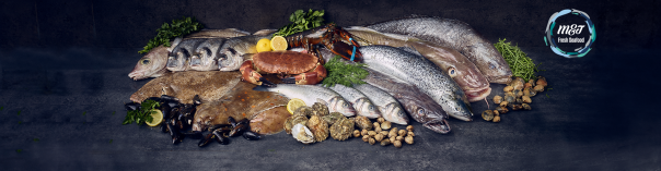 Wholesaler kff launches new range of fresh fish 