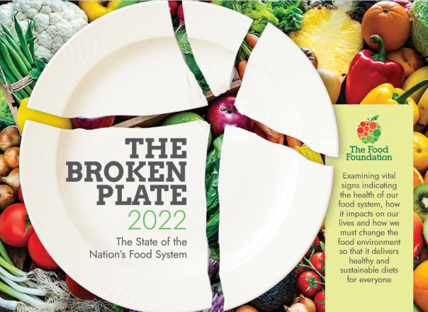 Broken Plate Report