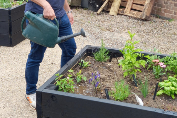 NHS Trust’s secret garden 