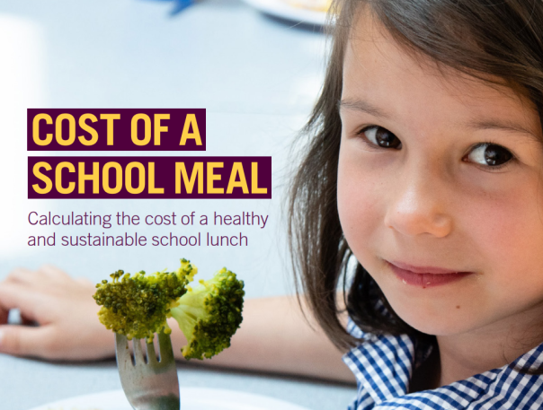 Experts urge Government to invest in underfunded school meals