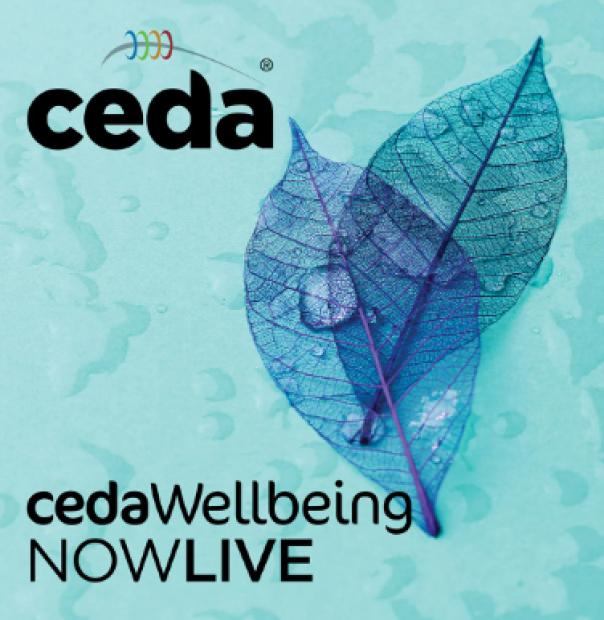 Ceda creates mental health & wellbeing working group 