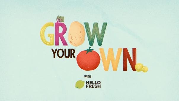 HelloFresh says growing own fruit & veg can lead to 95% less waste HelloFresh says growing own fruit & veg can lead to 95% less waste