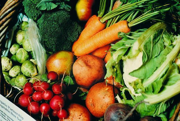 Soil Association calls for more a sustainable food system Soil Association calls for more a sustainable food system