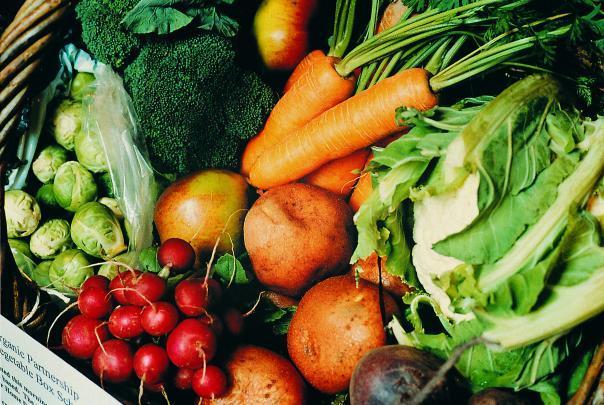 OECD data shows 33% of UK adults eat five portions of fruit & veg a day