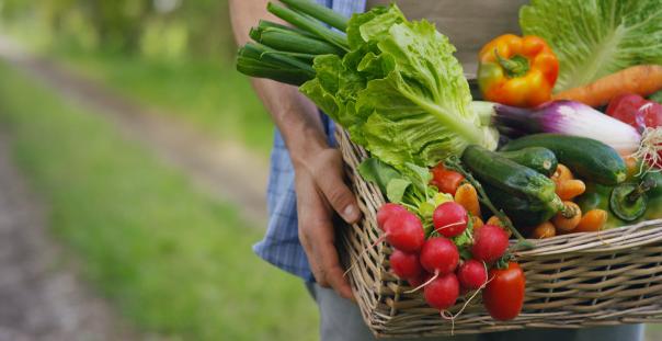 Government opens £15m food surplus fund for redistribution charities 