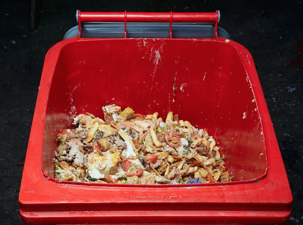 Food waste 