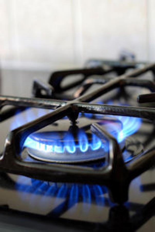 Caterers encouraged to 'switch to save' on energy