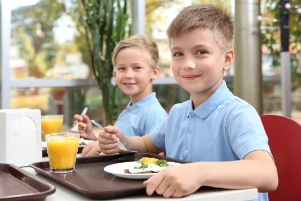 Universal Primary Free School Meals 