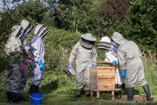 ESS launches latest beehive project at RAF Marham 